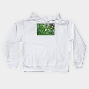 Lake Irene Alpine Floral Study 5 Kids Hoodie